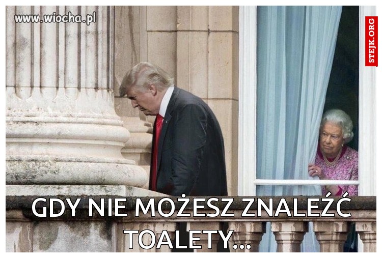 Gdy nie możesz znaleźć toalety... 