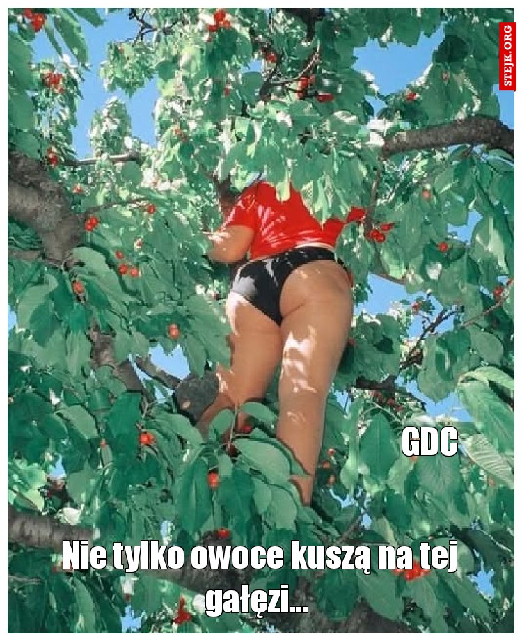 GDC