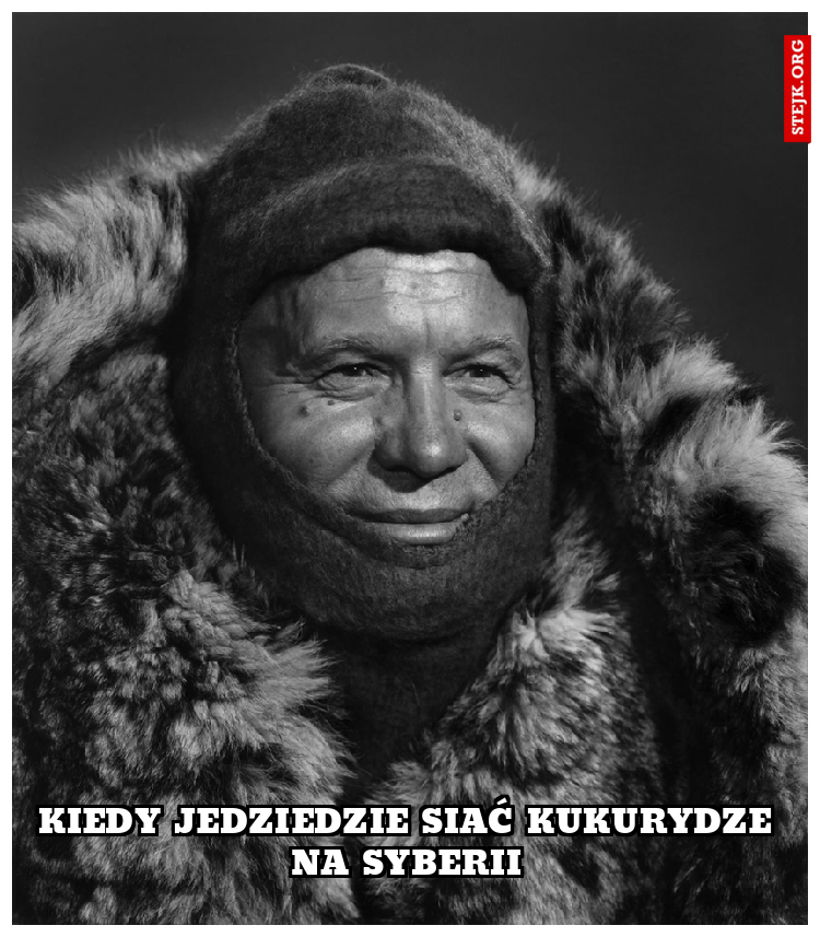 Kiedy jedziedzie siać kukurydze na syberii