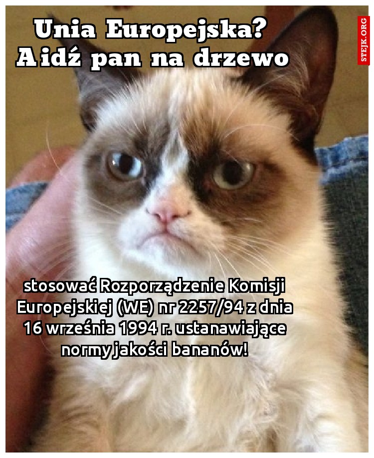 Unia Europejska? A idź pan na drzewo