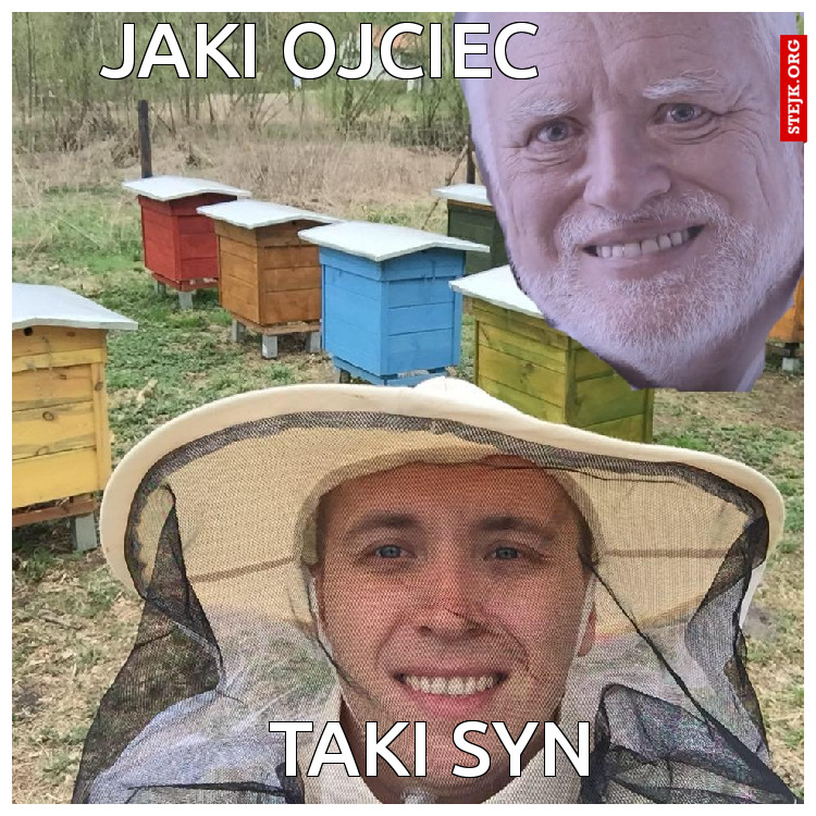 Jaki ojciec