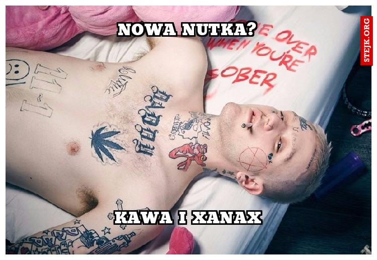NOWA NUTKA?