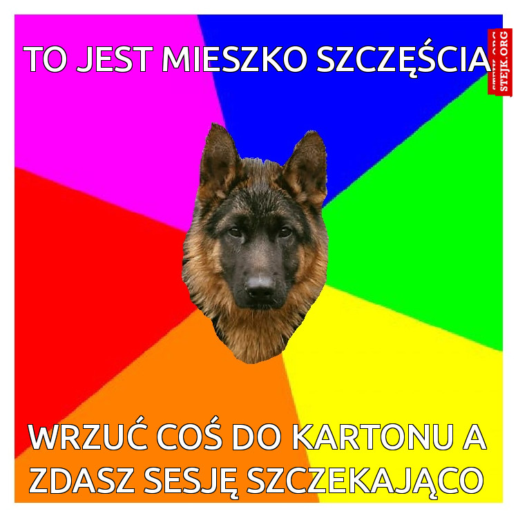 to jest mieszko szczęścia