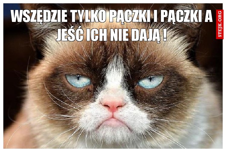 wszędzie tylko pączki i pączki a jęść ich nie dają !