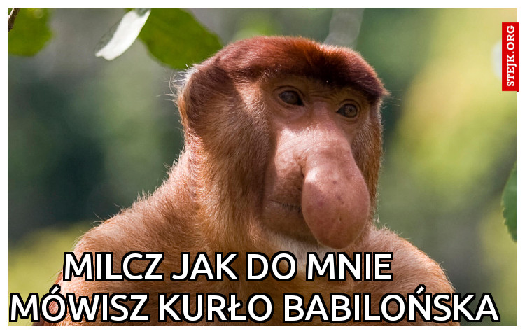MILCZ JAK DO MNie