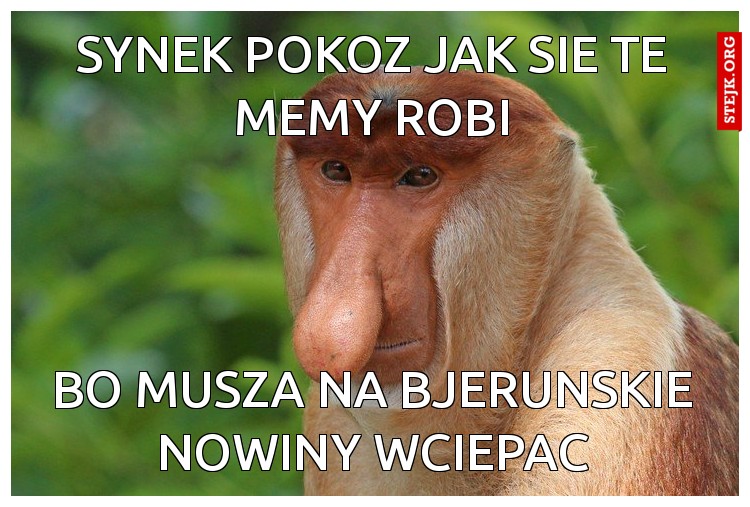 synek pokoz jak sie te memy robi