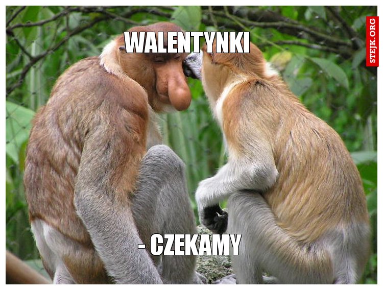 walentynki 