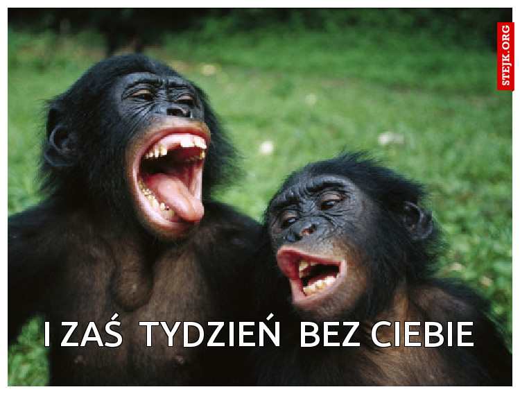 I zaś  tydzień  bez ciebie