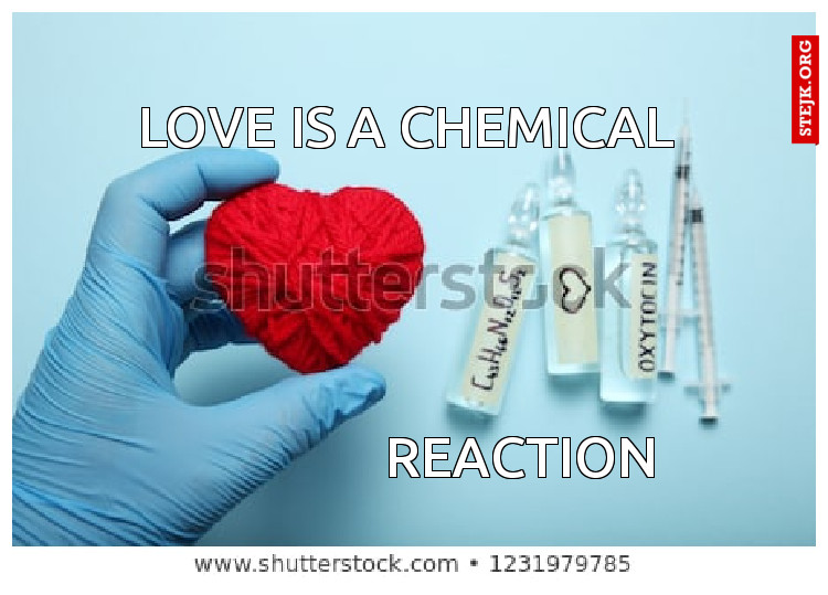 love is a chemical 