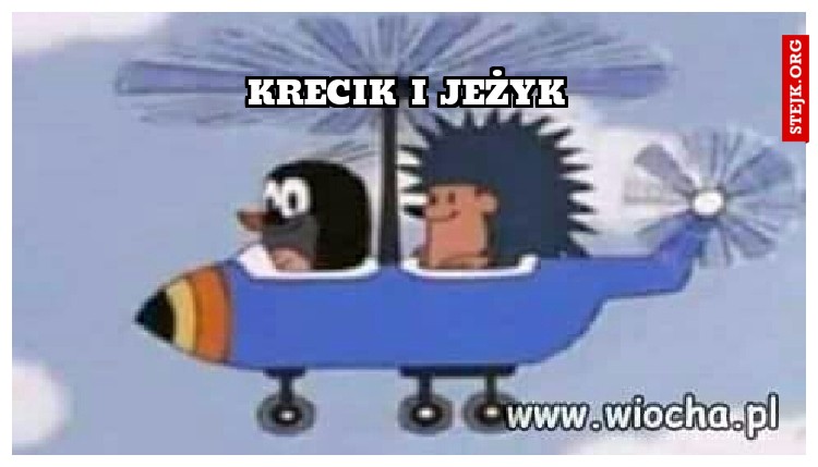 Krecik i jeżyk