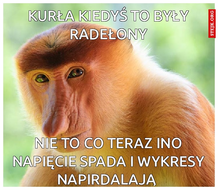 Kurła kiedyś to były radełony
