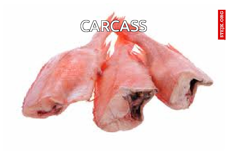 carcass