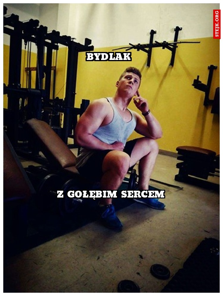BYDLAK 