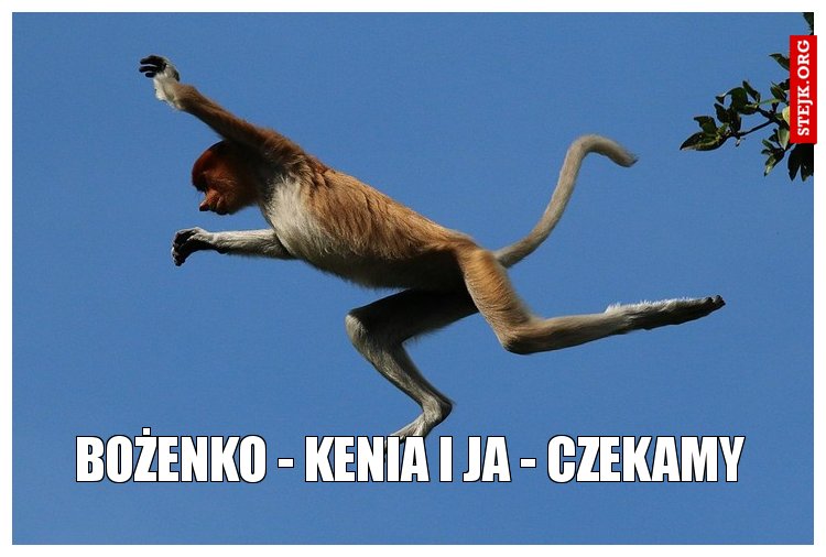 bożenko - kenia i ja - czekamy