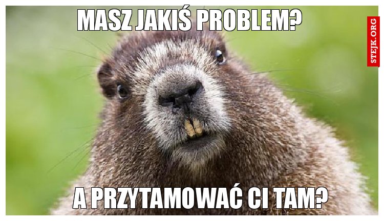 Masz jakiś problem? 
