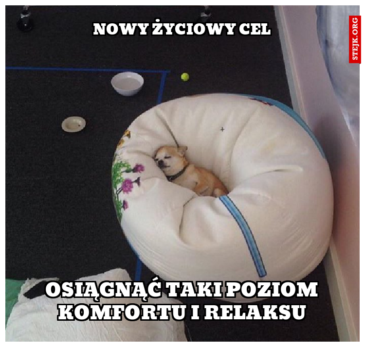NOWY ŻYCIOWY CEL