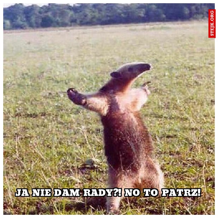 Ja nie dam rady?! No to patrz!