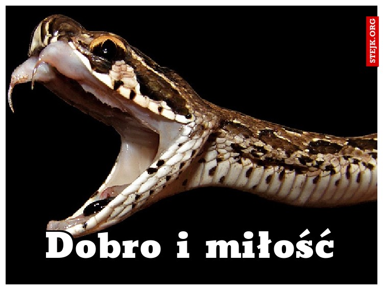 Dobro i miłość