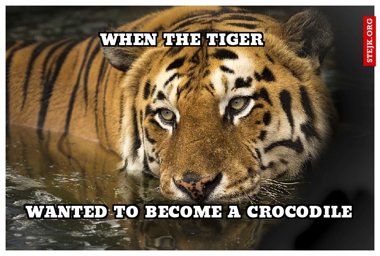 WHEN THE TIGER