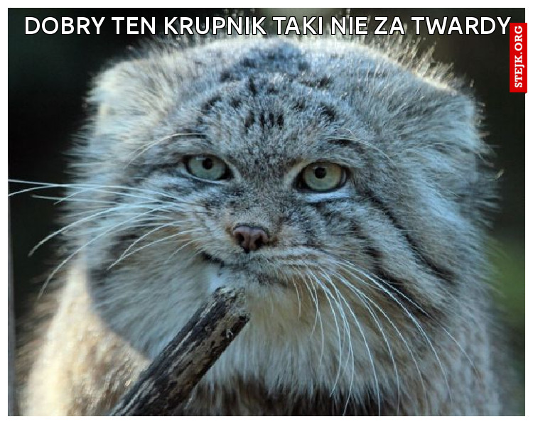 Dobry ten krupnik taki nie za twardy