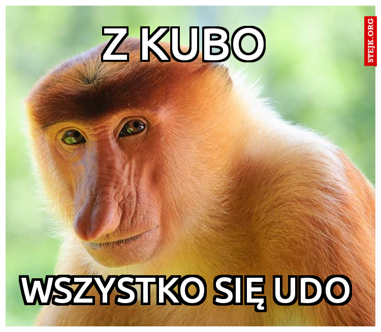 Z KUBO 