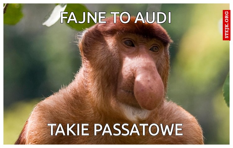 Fajne to audi