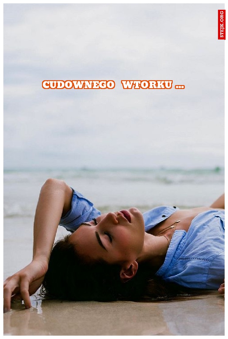 cudownego  wtorku ...