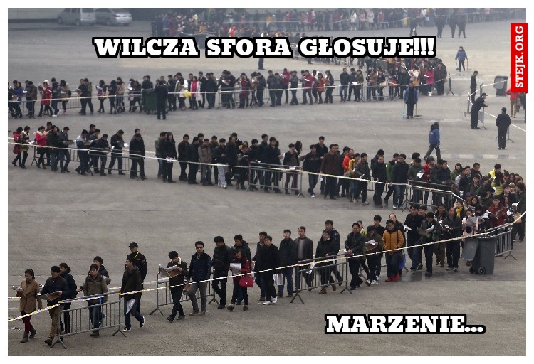 WILCZA SFORA GŁOSUJE!!!