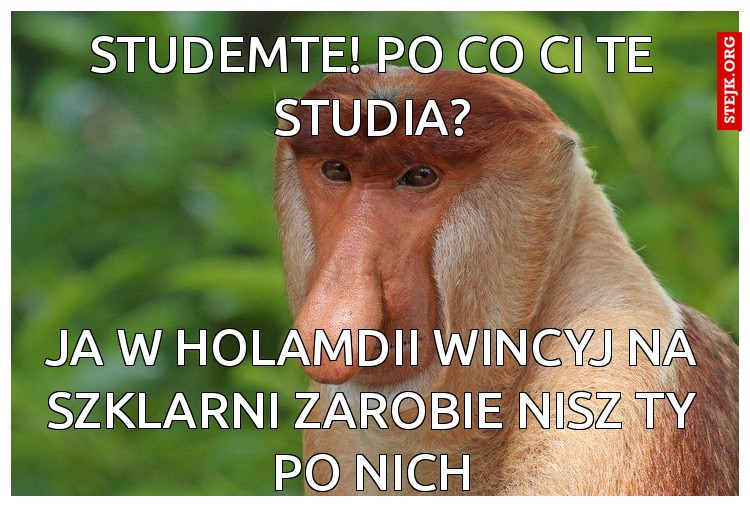 STUDEMTE! PO CO CI TE STUDIA?