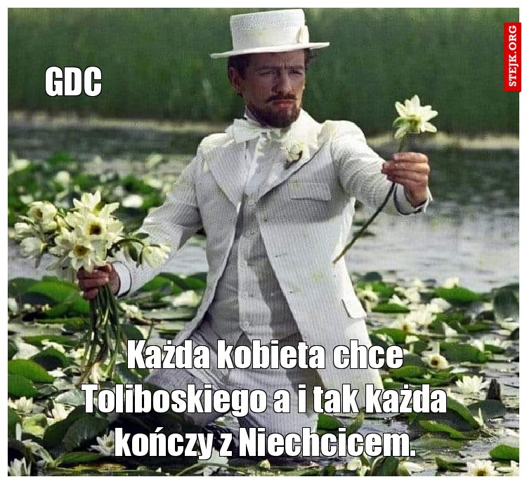 Każda kobieta chce Toliboskiego a i tak każda kończy z Niechcicem.
