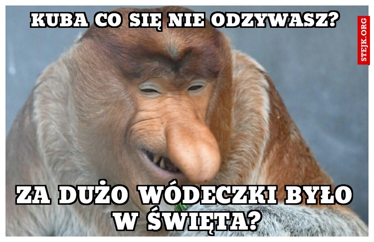 Kuba co się nie odzywasz?
