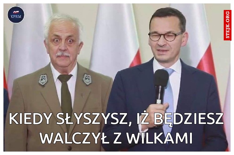 Kiedy słyszysz, iż będziesz walczył z wilkami