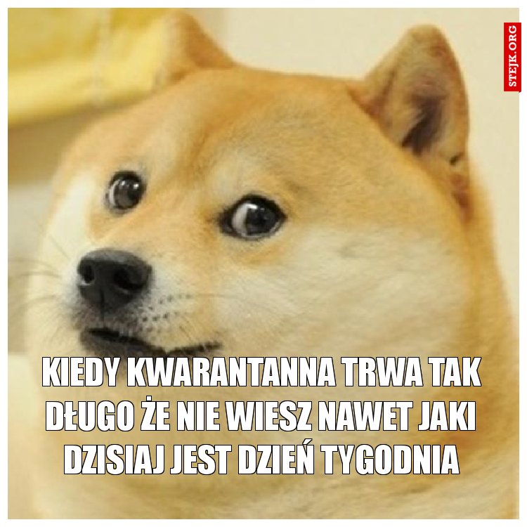 Kiedy kwarantanna trwa tak długo że nie wiesz nawet jaki dzisiaj jest dzień tygodnia