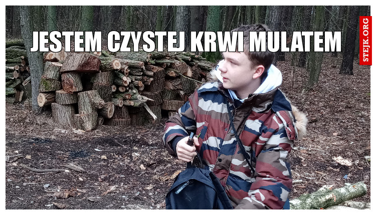 Jestem czystej krwi mulatem