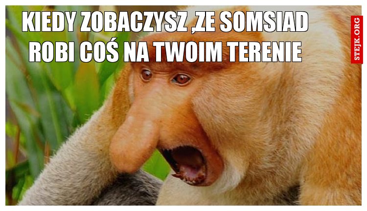 kiedy zobaczysz ,że somsiad robi coś na twoim terenie