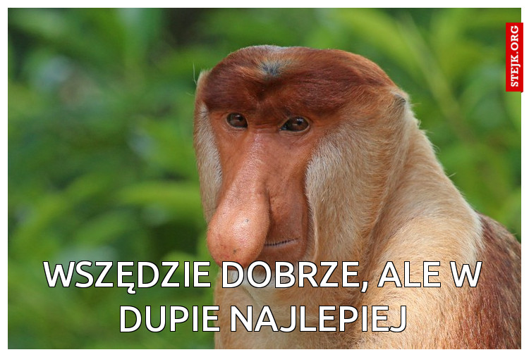 Wszędzie dobrze, ale w dupie najlepiej