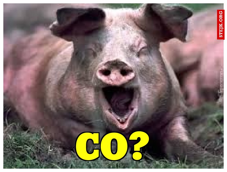 CO?