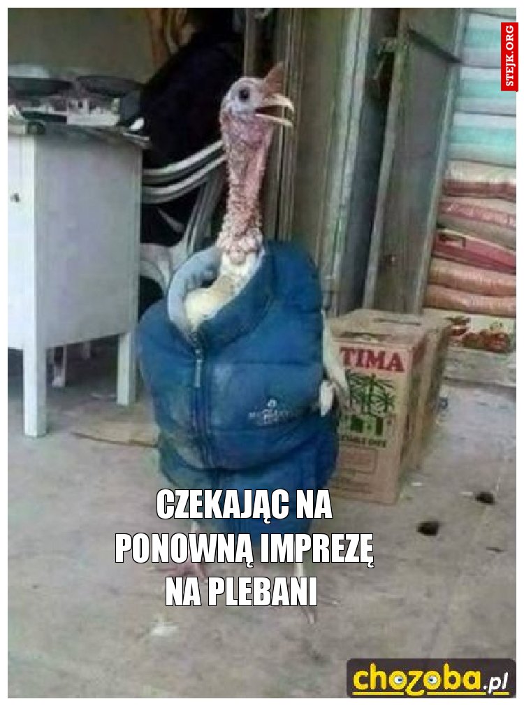 Czekając na ponowną imprezę na plebani 