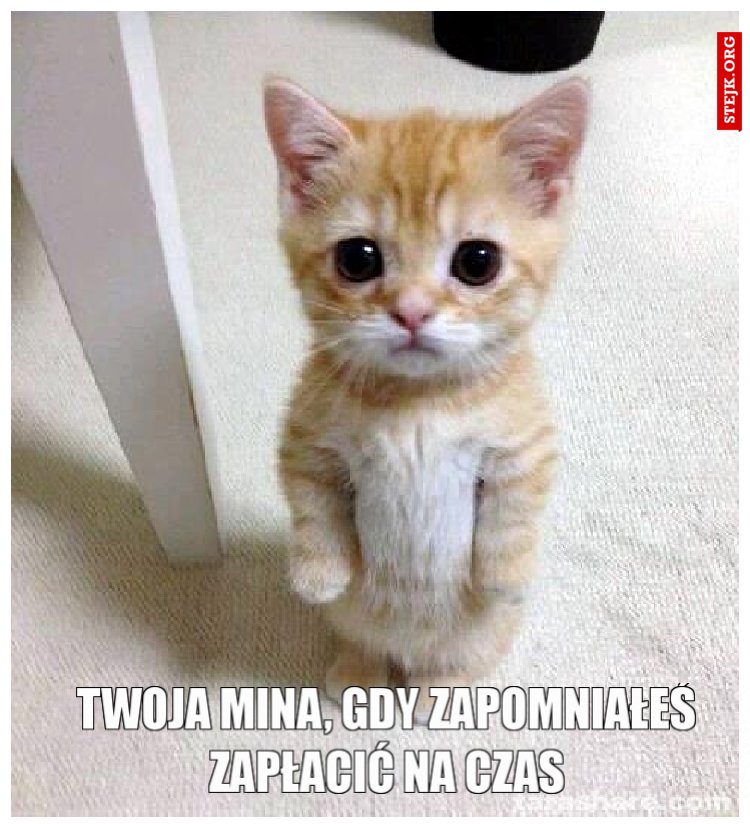 twoja mina, gdy zapomniałeś zapłacić na czas