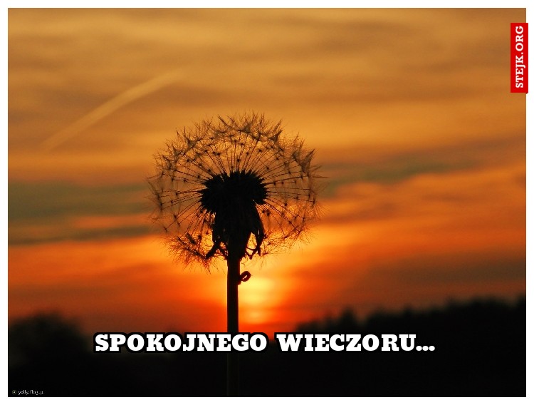 spokojnego wieczoru...