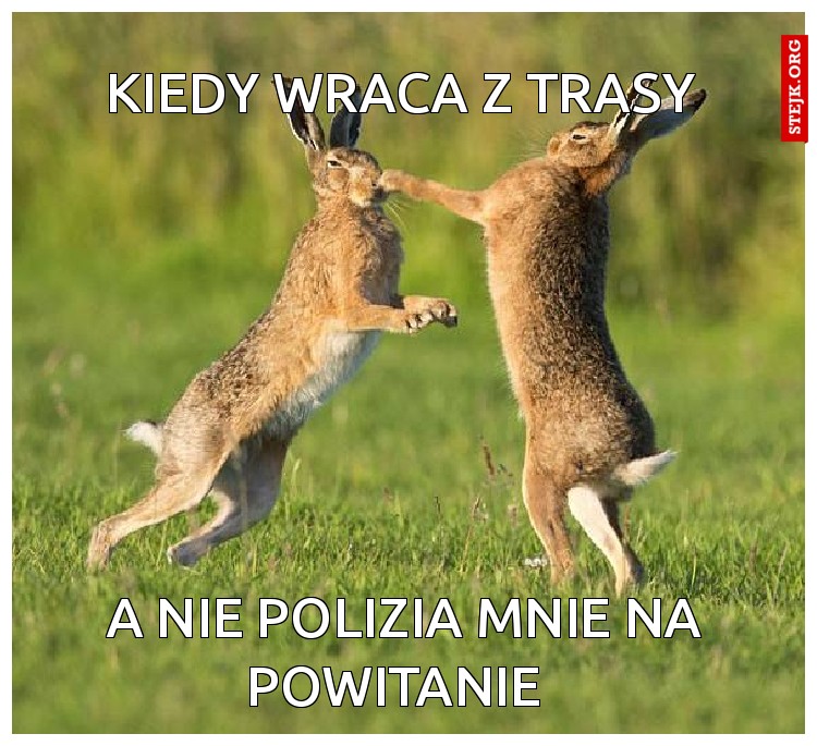 Kiedy wraca z trasy 