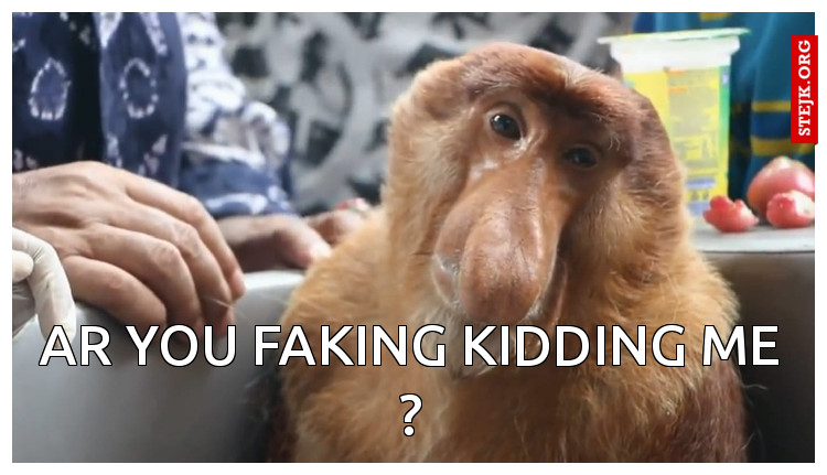Ar you faking kidding me ?