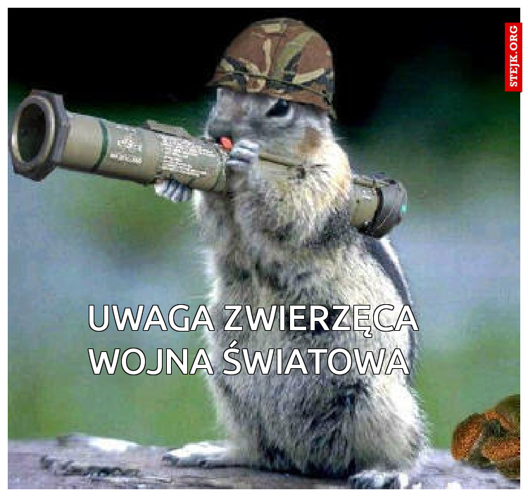 uwaga zwierzęca wojna światowa 