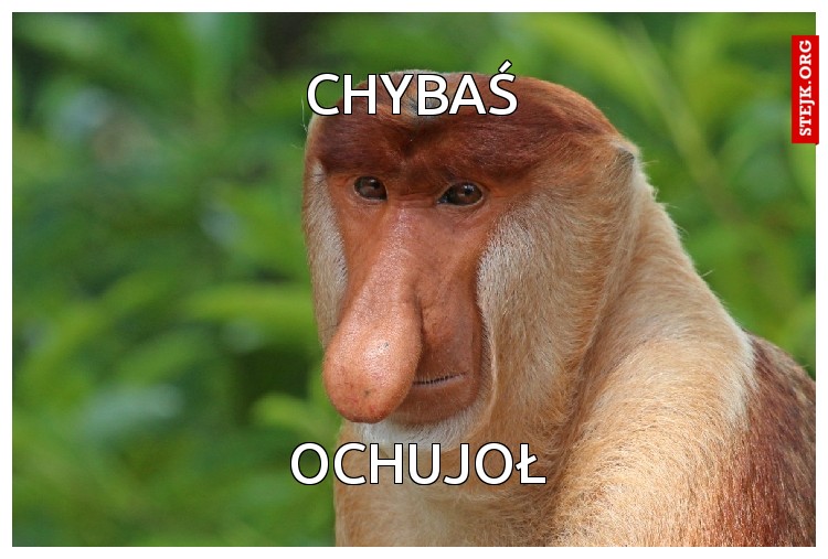 Chybaś