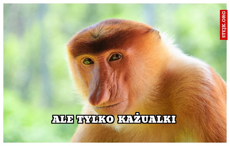 ale tylko każualki