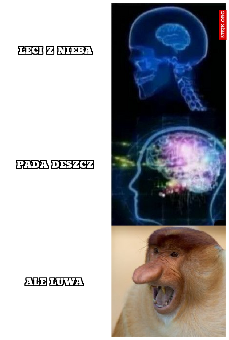 leci z nieba