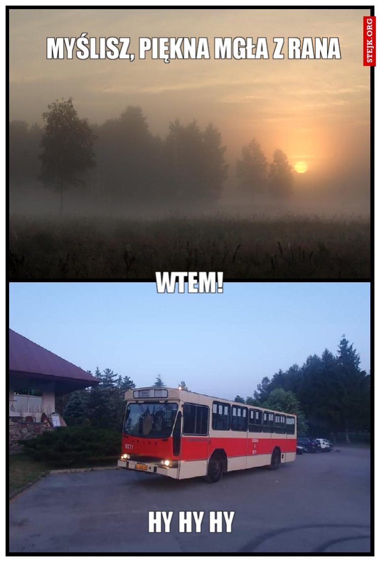Myślisz, piękna mgła z rana