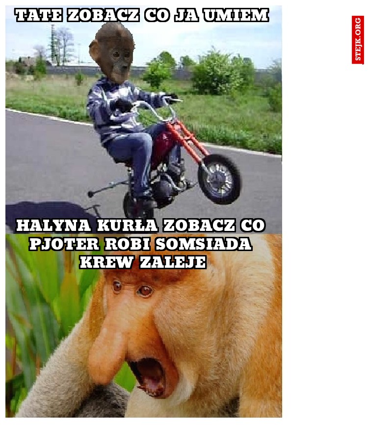 Tate Zobacz co ja Umiem