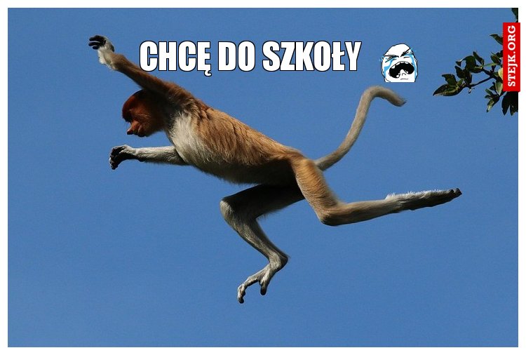 Chcę do szkoły