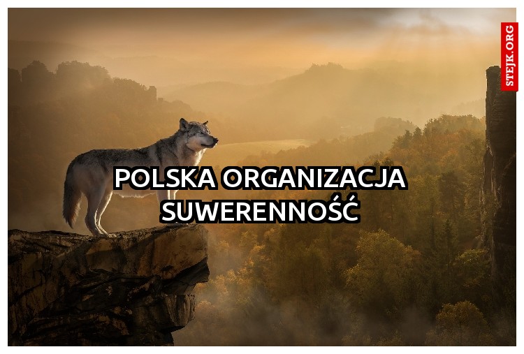 polska organizacja suwerenność